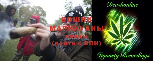 прущие грибы Белокуриха