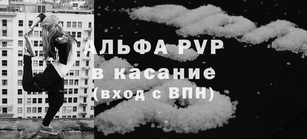 прущие грибы Белокуриха
