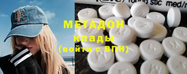 прущие грибы Белокуриха