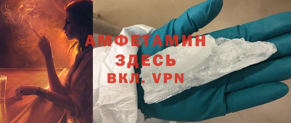 прущие грибы Белокуриха