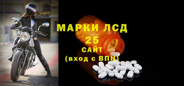 прущие грибы Баксан