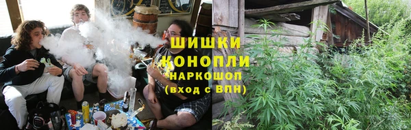 прущие грибы Белокуриха