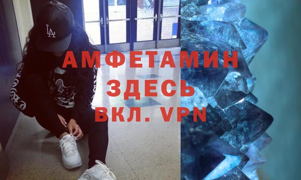прущие грибы Белокуриха