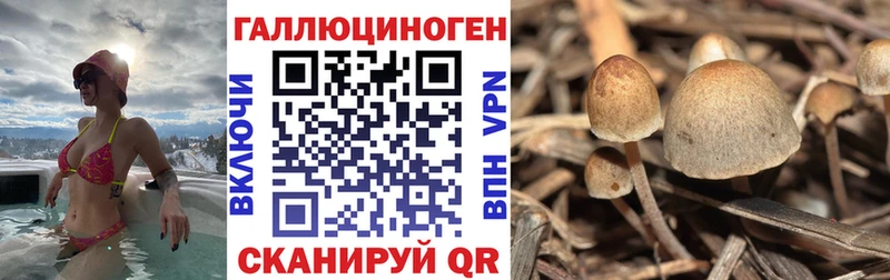 Псилоцибиновые грибы мицелий  Карпинск 